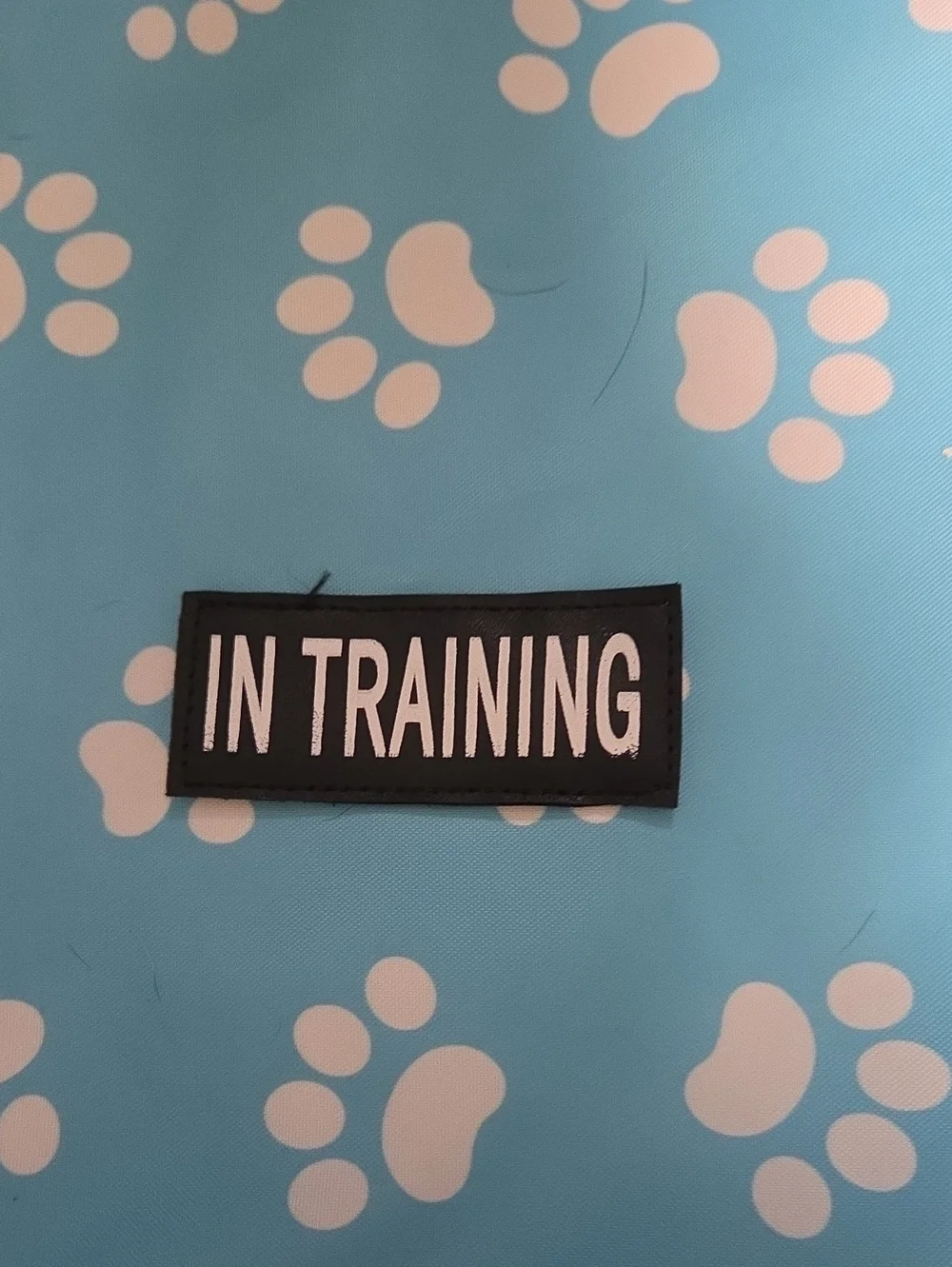Working Dog Patch Set, Set Of 6 Patches